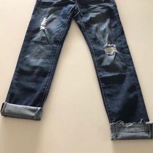 Vervet Flying Monkey Scarlet Blue Straight Crop